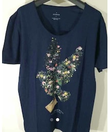 STUDIOUS | PIGEON カットソー(Tシャツ/カットソー)