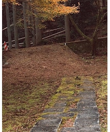 ZARA | ワンピース/ドレス