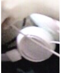 見えてないけど薔薇のチョーカー | アクセサリー