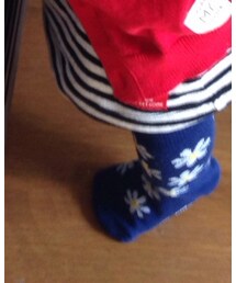 green label relaxing | ソックス/靴下