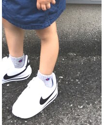 Champion | ソックス/靴下