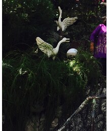 AUGUSTE PRESENTATION | 帽子