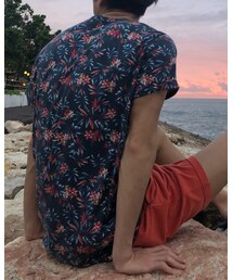 Hollister | (Tシャツ/カットソー)