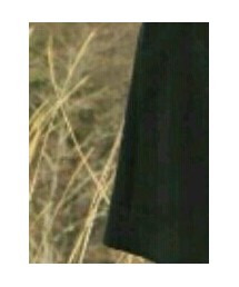 Paul Smith | チェスターコート