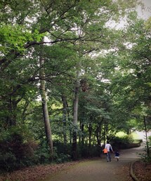 背景①公園 | その他