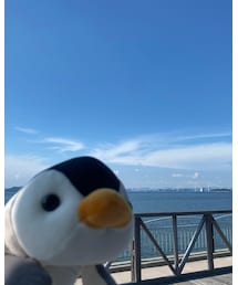 ぶーま | その他