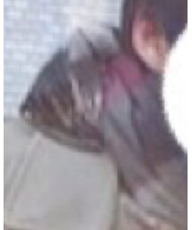 Sartoria Pisthes | マフラー