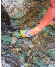 havaianas | サンダル