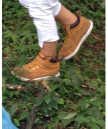 VANS | その他シューズ