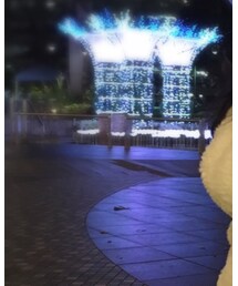 UNIQLO | ジャケット/アウター