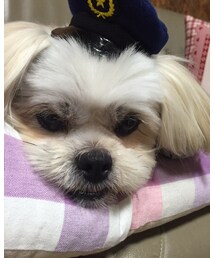 あんこ | その他