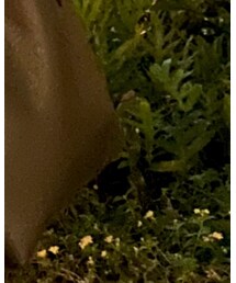 COACH | トートバッグ