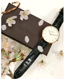 DW | アナログ腕時計