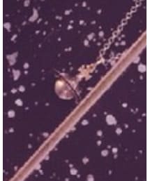 Vivienne Westwood MAN | 安定のビビアン(ネックレス)