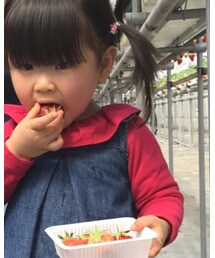 petit main | Tシャツ/カットソー