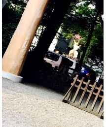 GU | タンクトップ