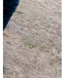 GU | その他パンツ