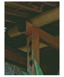 結婚式 | その他