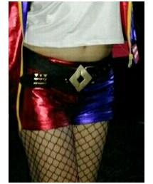 ハーレイクイン | その他