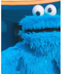 クッキーモンスター | その他