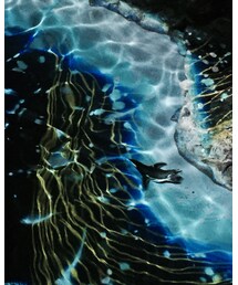 📷🐧 | その他