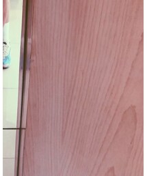 MILKFED. | スカート