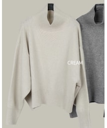 scenerity | scenerity Stingray Turtleneck Knit(ニット/セーター)