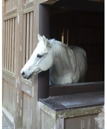 空 勇 号 | その他