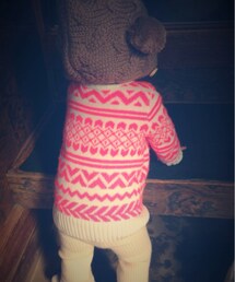 ムスメ | 民家に入り込む子熊(その他)