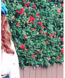 RETRO GIRL | カーディガン/ボレロ