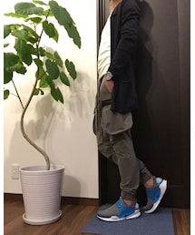 ウンベラータ | その他