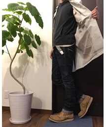 ウンベラータ | その他