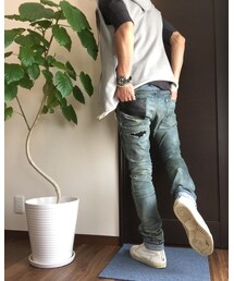 ウンベラータ | その他