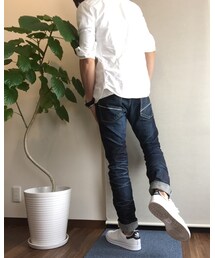 ウンベラータ | その他