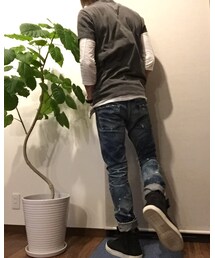 ウンベラータ | その他