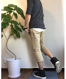 ウンベラータ | その他