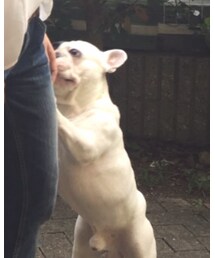 エイトくん | その他