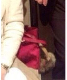 GUCCI | ハンドバッグ