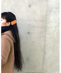 Handmade | hand made hair pin / minäperhonen (バレッタ/ヘアクリップ)