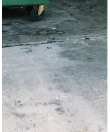 ZALORA | Tシャツ/カットソー