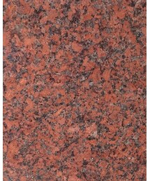 H&M | Tシャツ/カットソー