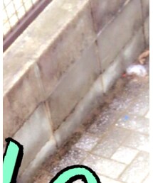 寒いです💦 | その他