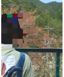 散ったサクラ | その他