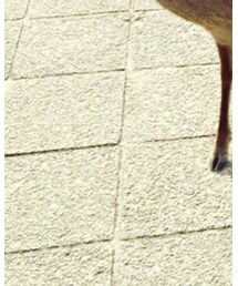 NANO universe | ブーツ