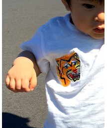 Ocean&Ground | Tシャツ/カットソー