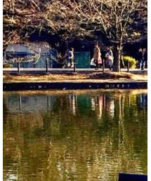 GLOBAL WORK | クラッチバッグ