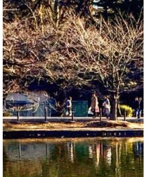 American Eagle | サングラス