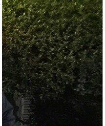 SLY | ジャケット/アウター