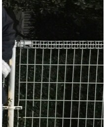 DANKE SCHON | Tシャツ/カットソー