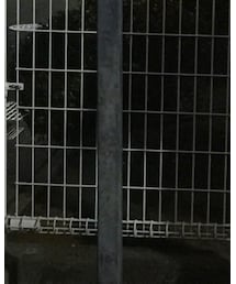 American Eagle | パンツ